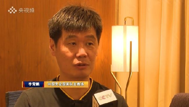 国产20页